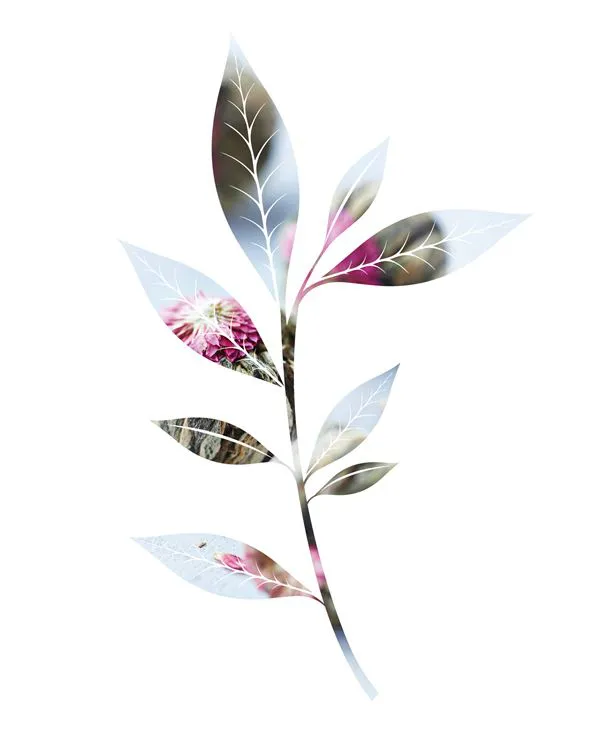 INFUSEUR PAPILLON