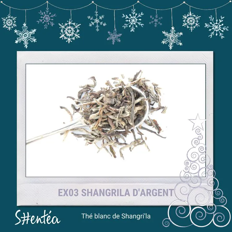 SHANGRILA D'ARGENT