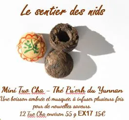 LE SENTIER DES NIDS