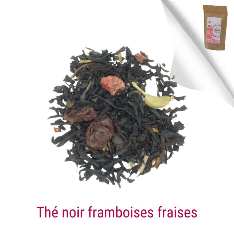 SÉDUCTION édition été 25