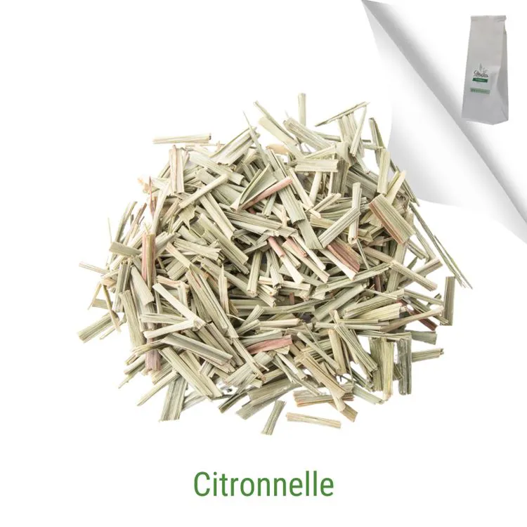 CITRONNELLE