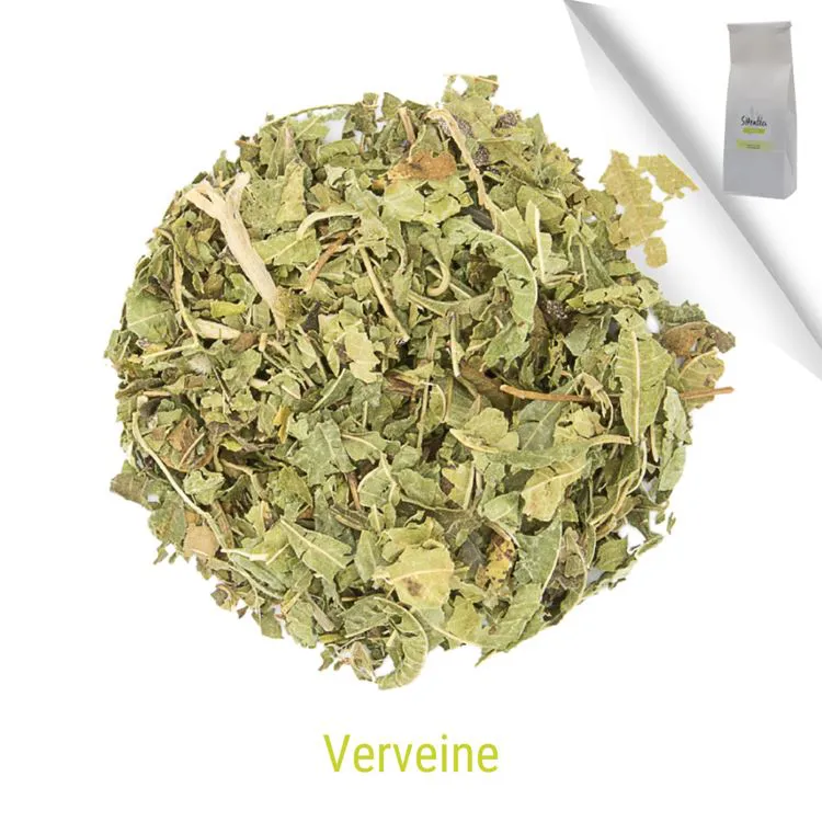 VERVEINE