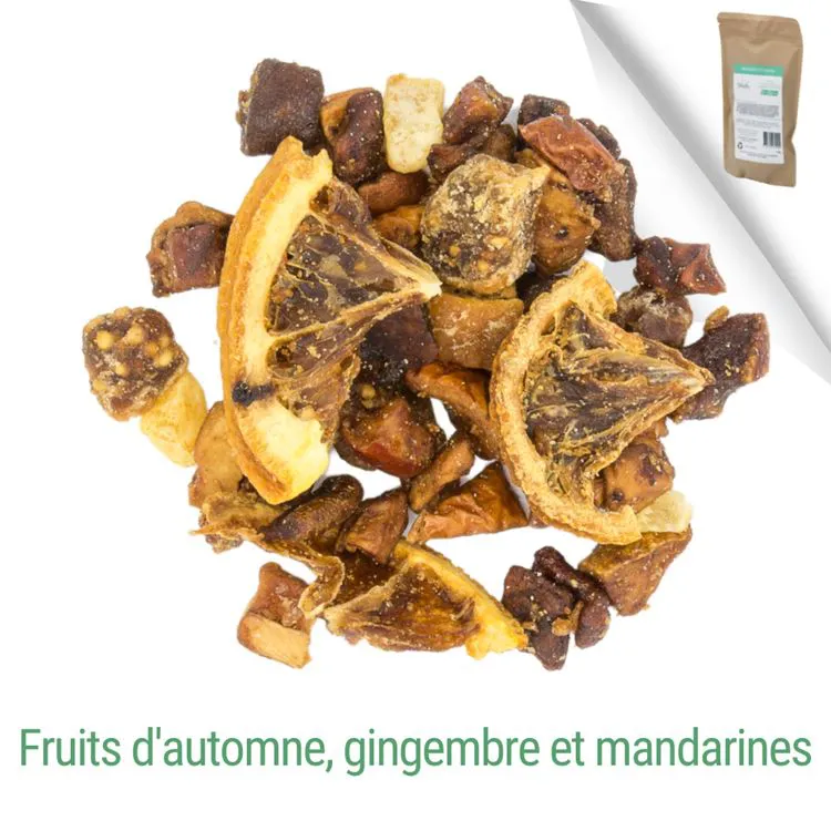 ÉTÉ INDIEN (RE)