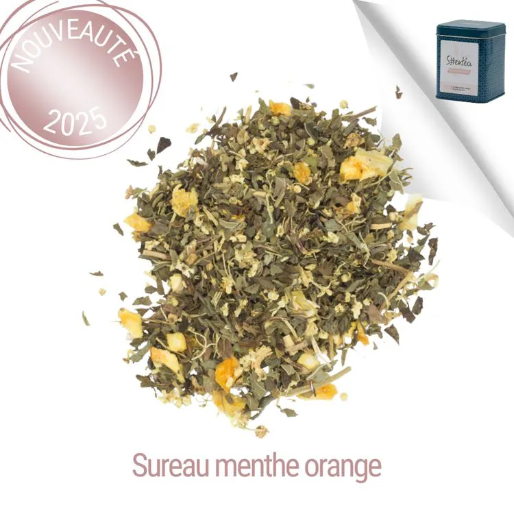 BRUME MENTHOLÉE