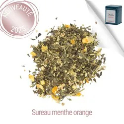 BRUME MENTHOLÉE 1