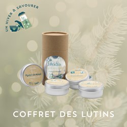 COFFRET DES LUTINS