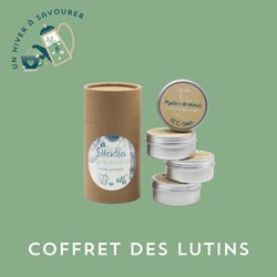 COFFRET DES LUTINS 2