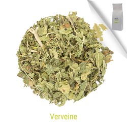 VERVEINE 1