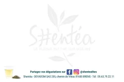 LOT DE 100 CARTES message Shentéa Format A6