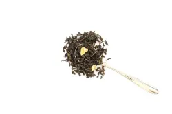 ANASTASIA BIO Découverte 20g