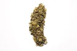M-M Découverte 20g
