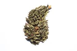 MOJITHÉ Découverte 20g
