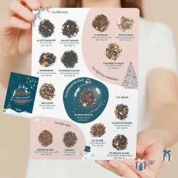LOT 10 Flyers Noël 22