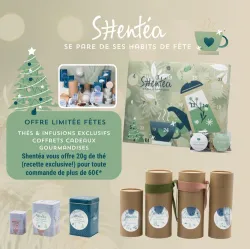 LOT 10 Flyers Noël 24