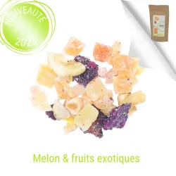 MÉLI-MELON édition été 25