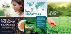 TRIPTYQUE PRESENTATION