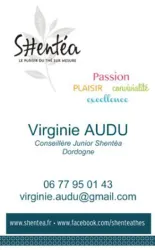 LOT DE 250 CARTES DE VISITE PERSONNALISEES